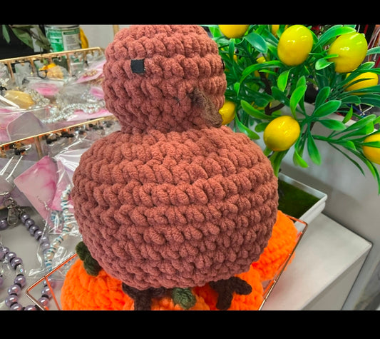 Kiwi Bird Crochet Stuffy Animal