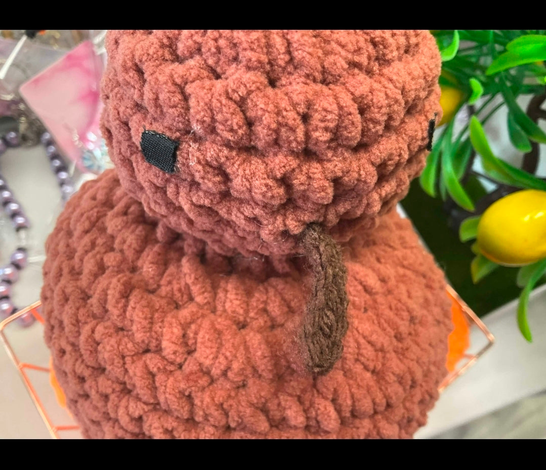 Kiwi Bird Crochet Stuffy Animal