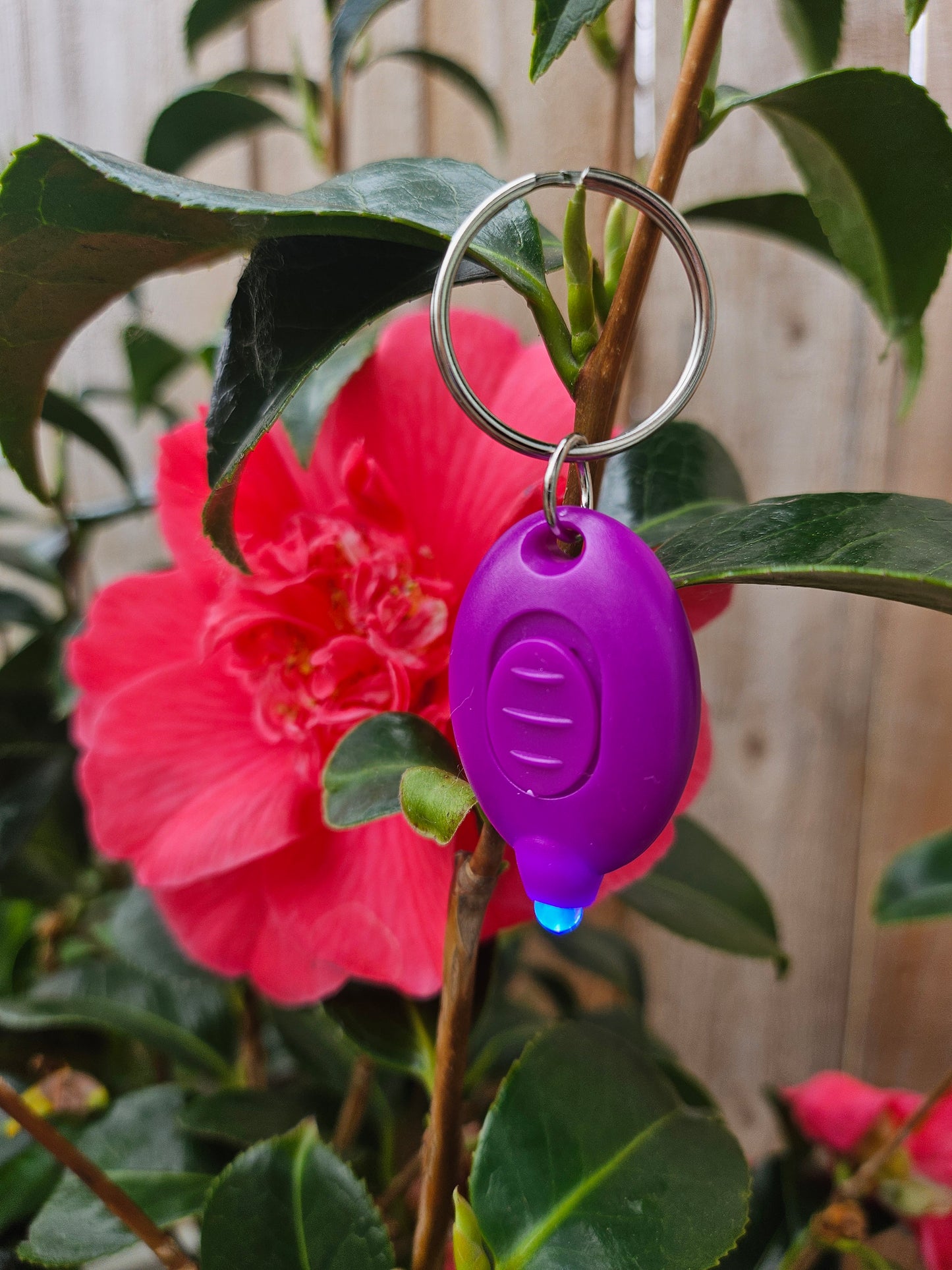 !ADD-ON! Cute Mini Purple UV Light Keychain