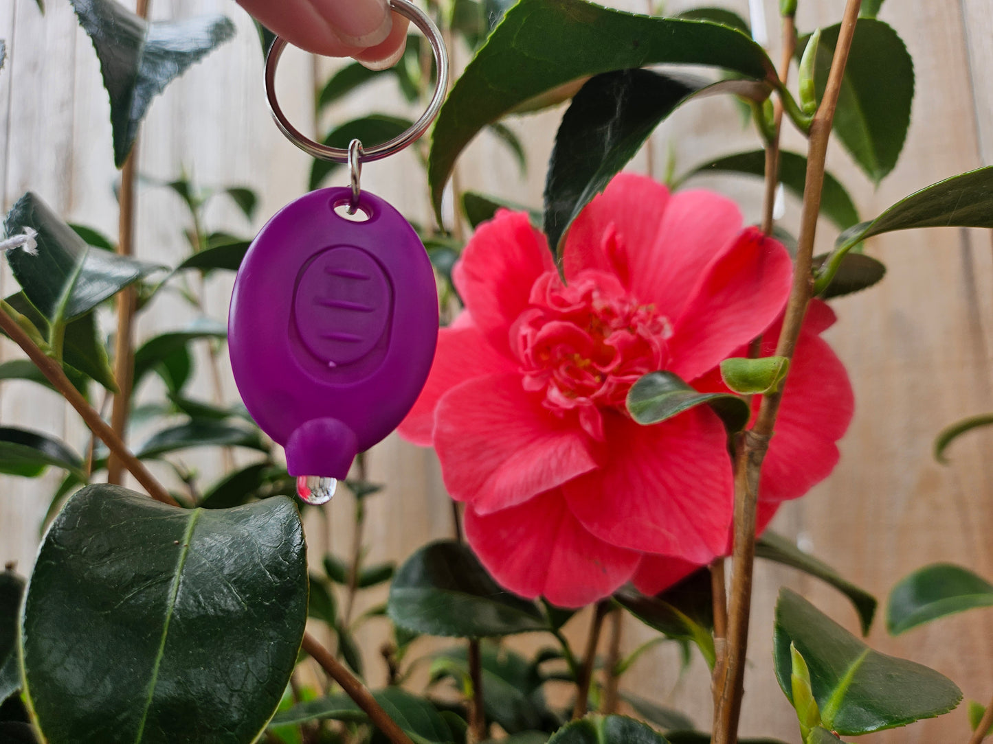 !ADD-ON! Cute Mini Purple UV Light Keychain