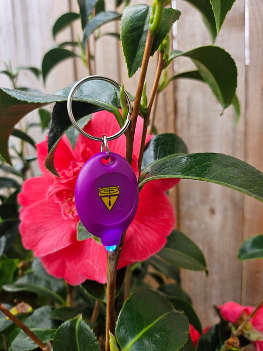 !ADD-ON! Cute Mini Purple UV Light Keychain